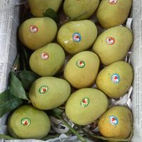 Langra Mango