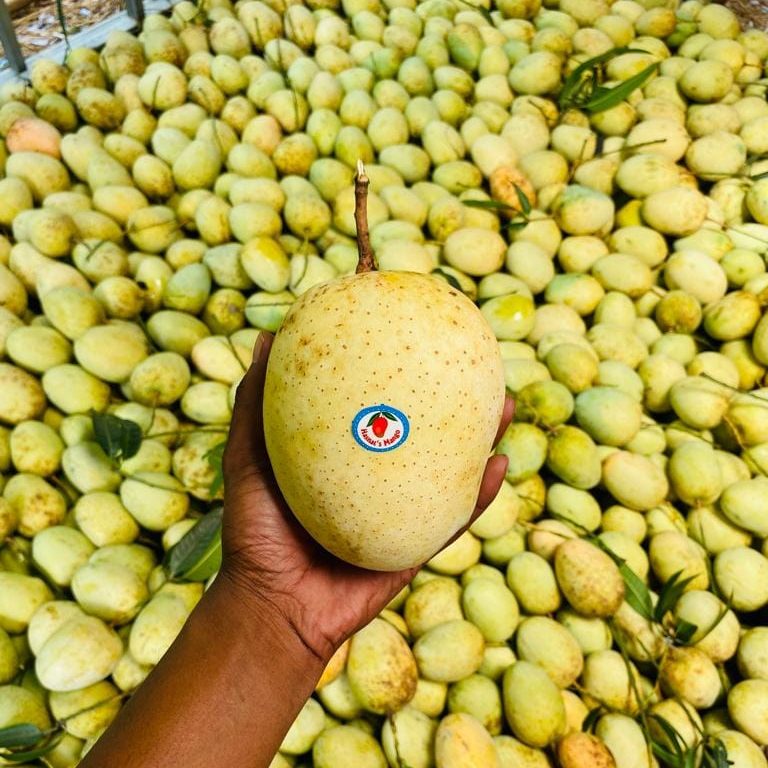 Hasnats%20Mango
